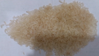 1010 Rice