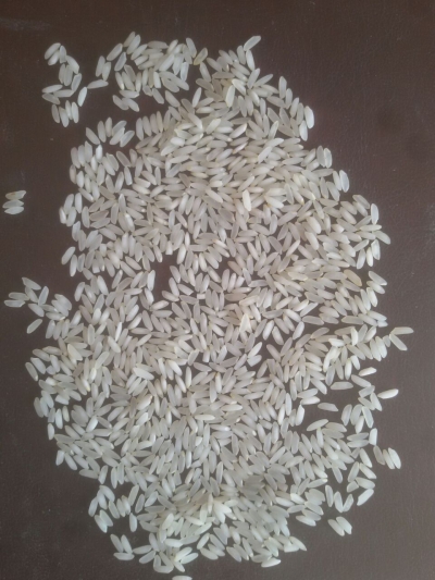 Sona Masuri Rice