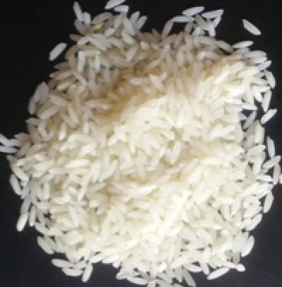 Samba Rice