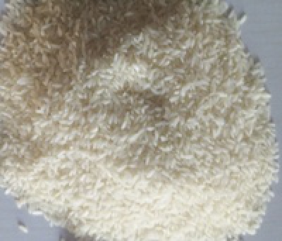 Sona Masuri Rice