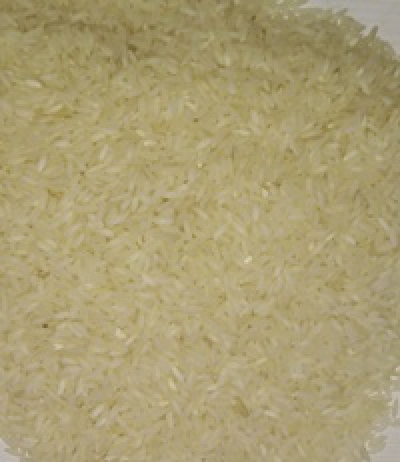 Samba Rice